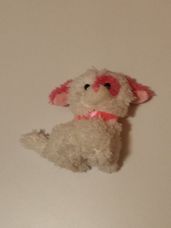 Fehér-pink rövid szőrű, foltos szemű kutyus
