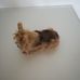 Interaktív FurReal Yorkie Yorkshire Terrier kiskuya