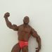 Mattel WWE 2010 Ezekiel Jackson pankrátor ketrecharcos