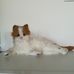 Interaktív teljesen valósághű FurReal Cat vörös fehér cica